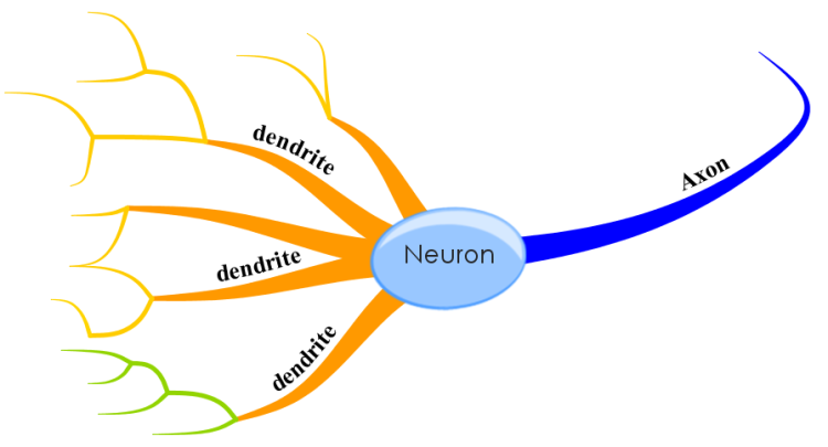 Как мы уже писали, майндмэп напоминает нейрон. В некоторых программах даже есть соответствующие шаблоны. Фото: Biggerplate