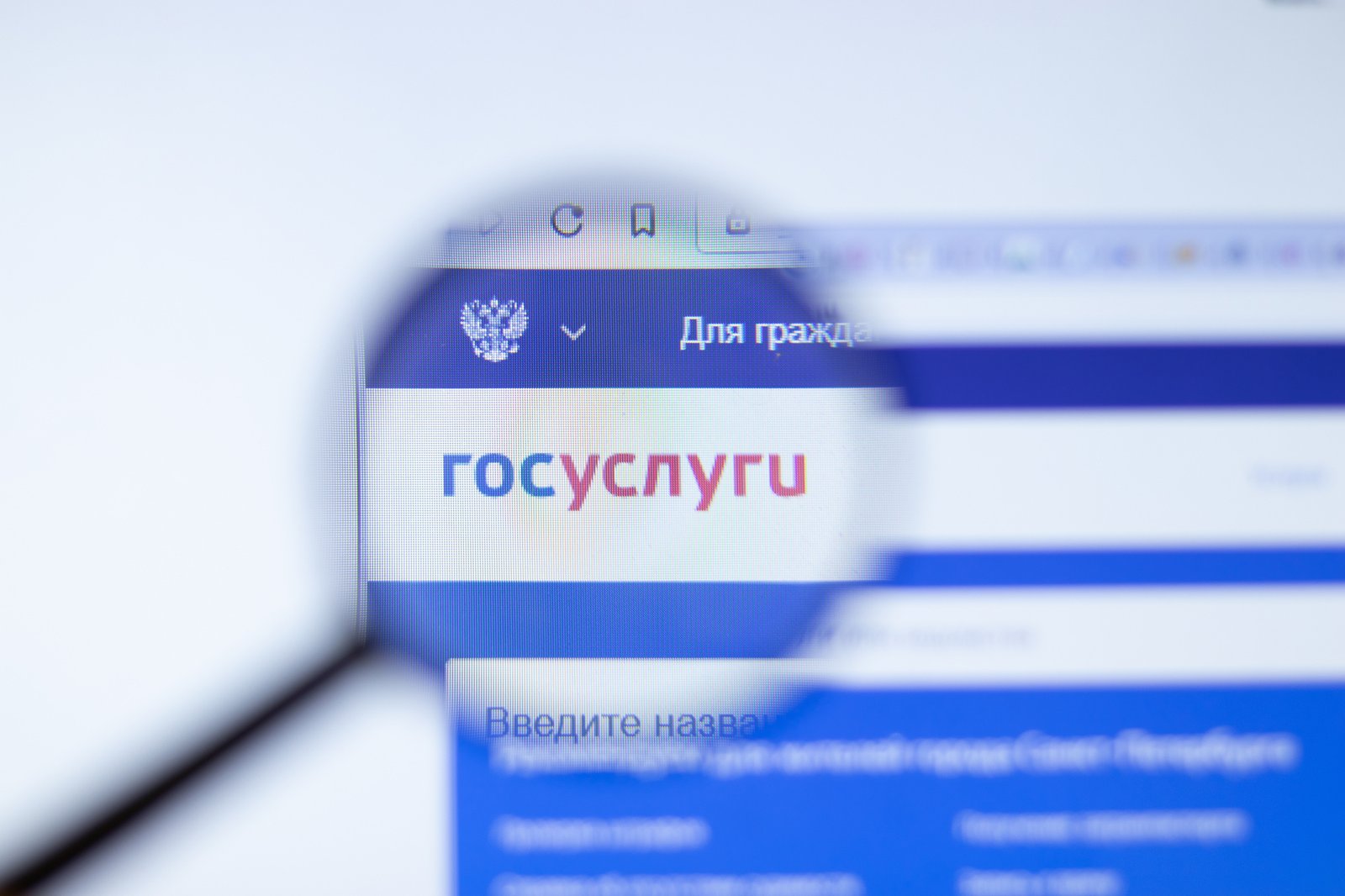 «Госуслуги» вернули кнопку удаления профиля - Hi-Tech Mail.ru