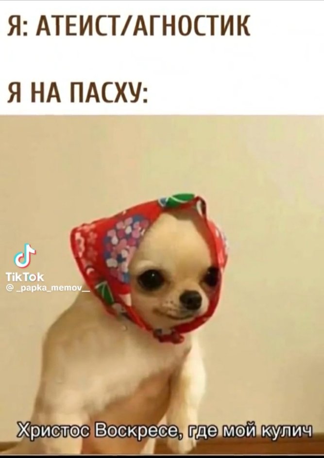 Всем куличи! Всем куличи!