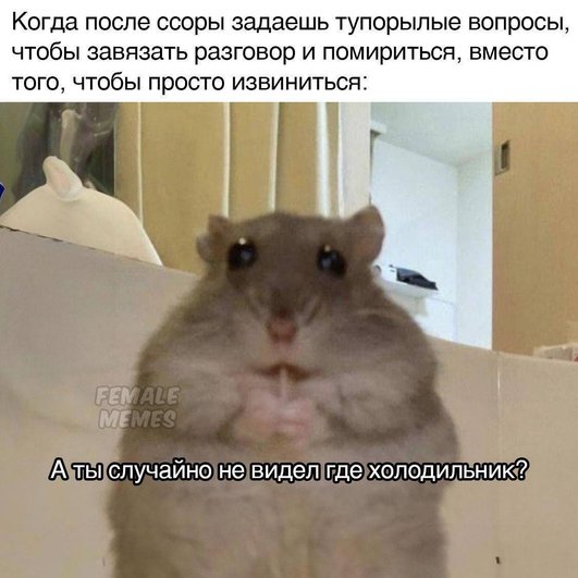 Но главное — помириться после доброй ссоры Но главное — помириться после доброй ссоры