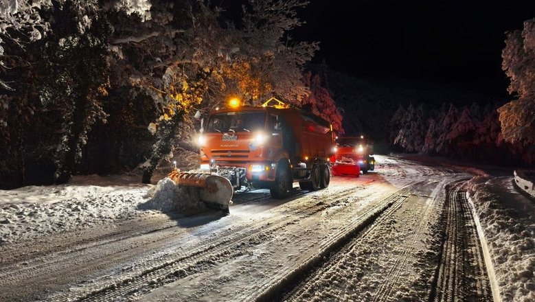 Код региона 441 на номере авто