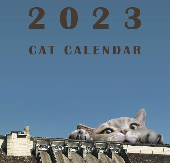 Календарь с котами-гигантами стал популярен в сети: как скачать - Hi-Tech  Mail.ru