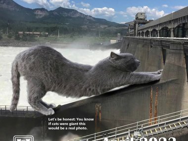 календарь с котами-гигантами