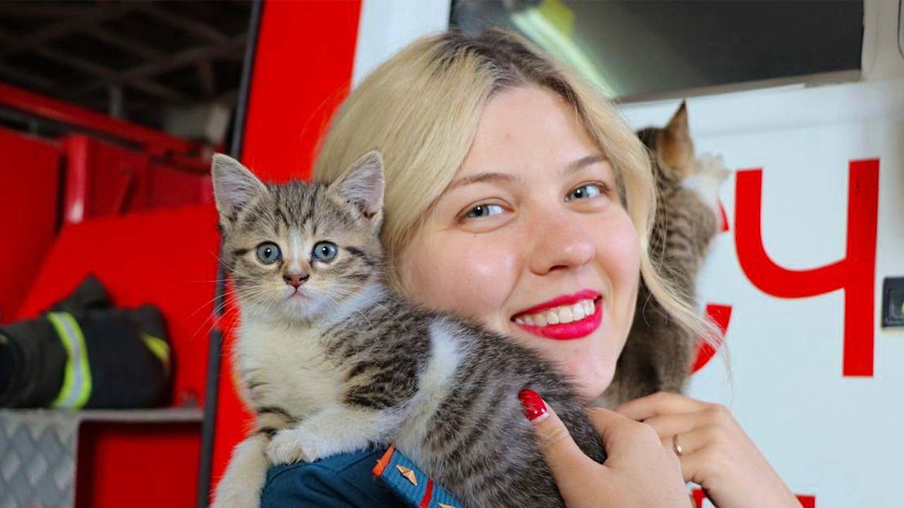 В МЧС дали советы по безопасности владельцам кошек