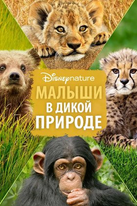 Малыши в дикой природе: постер