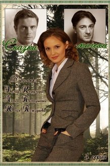 Сказки мачехи: постер