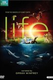 Постер BBC: Жизнь: 1 сезон