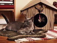 Content image for: 482510 | Всё для зверей: как сделать дом уютным для кошек и собак