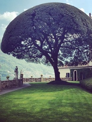 Slide image for gallery: 5082 | Итальянская природа благотворно повлияла на певицу: Юлия написала в своем Instagram, что ей «хочется творить, летать и жить»