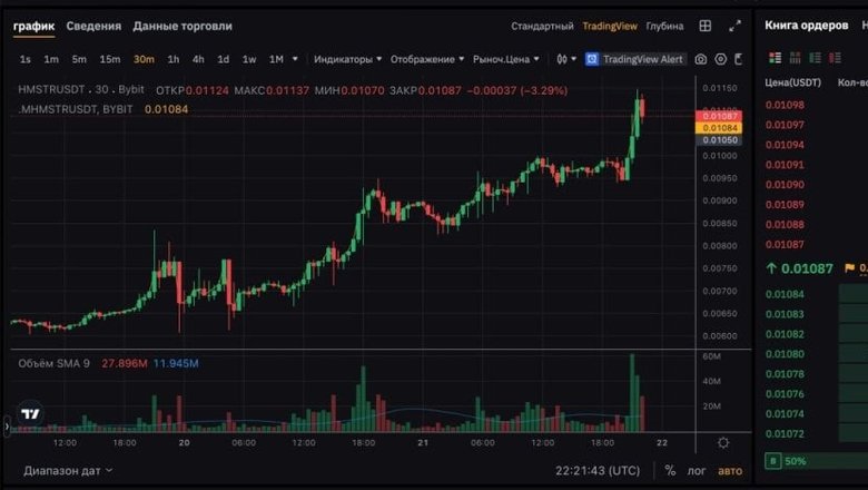 Стоимость HMSTR-коина на пре-маркете