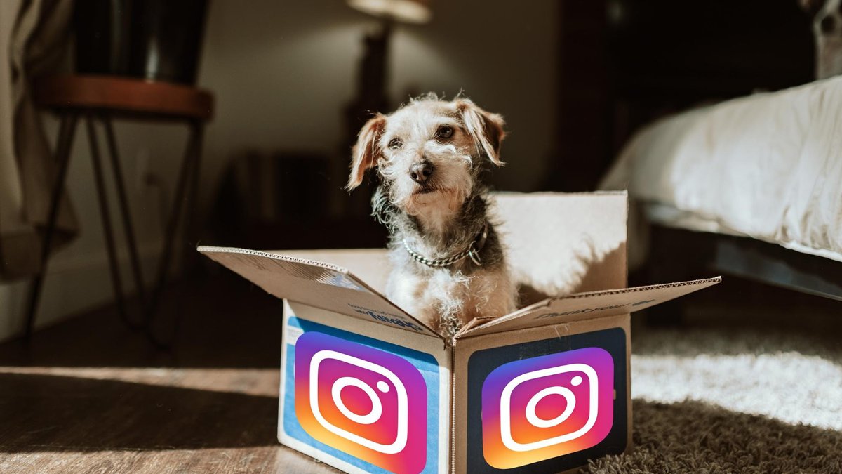 Как отправить подарок в Instagram - Hi-Tech Mail.ru