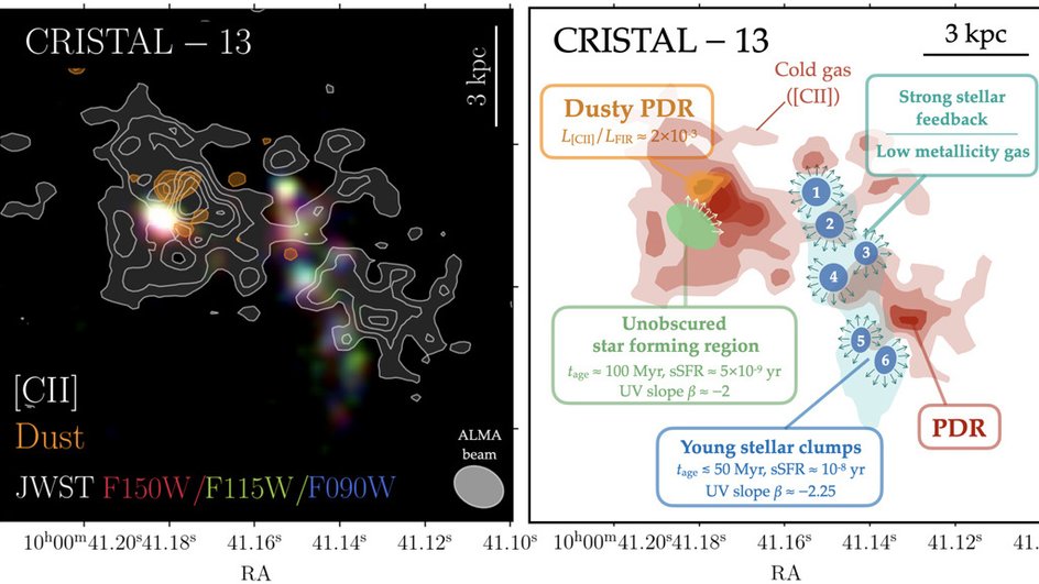 CRISTAL-13