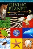 Постер BBC: Живая планета: 1 сезон