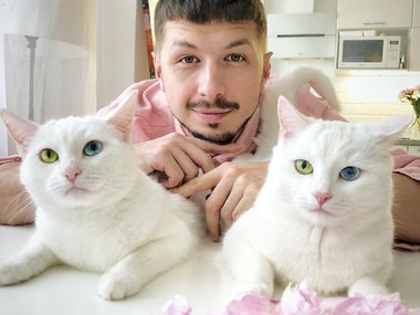 Павел и кошки