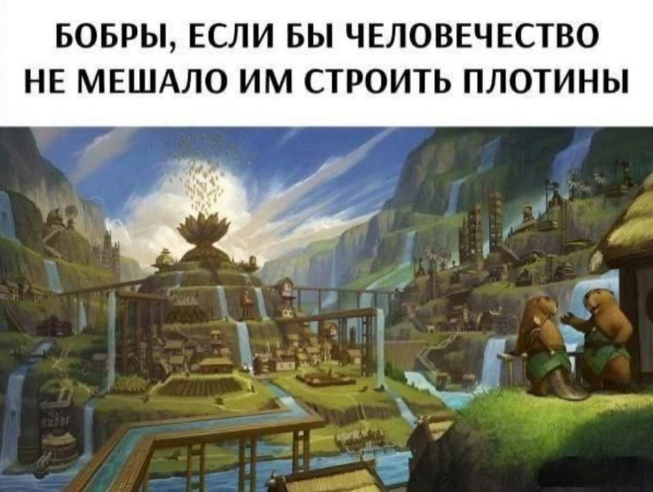 Простите нас, бобры. Мы просто вам завидуем Простите нас, бобры. Мы просто вам завидуем