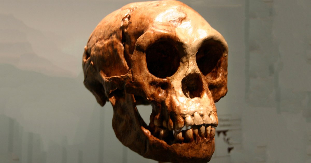 Ученые выяснили, почему Homo sapiens пережили остальные виды людей
