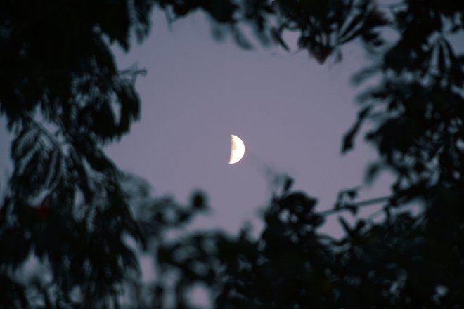 Луна Луна
