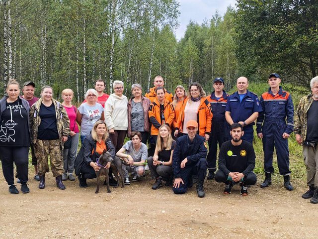 Под Можайском собака нашла женщину, которая провела в лесу 3 дня