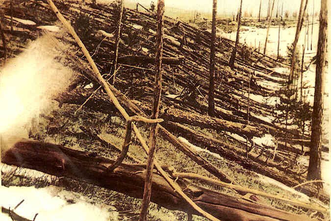 Фотография деревьев, поломанных Тунгусским событием в 1908 году. Источник: Wikimedia Commons