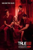 Постер Настоящая кровь: 4 сезон