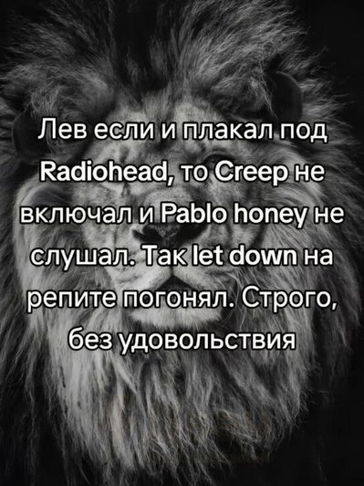 Черно-белая фотография льва с надписью «Лев если и плакал под Radiohead, то Creep не включал и Pablo honey не слушал. Так let down на репите погонял. Строго, без удовольствия». Черно-белая фотография льва с надписью «Лев если и плакал под Radiohead, то Creep не включал и Pablo honey не слушал. Так let down на репите погонял. Строго, без удовольствия».