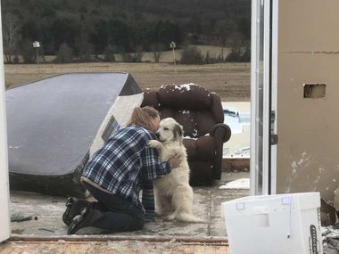 Pets.mail.ru