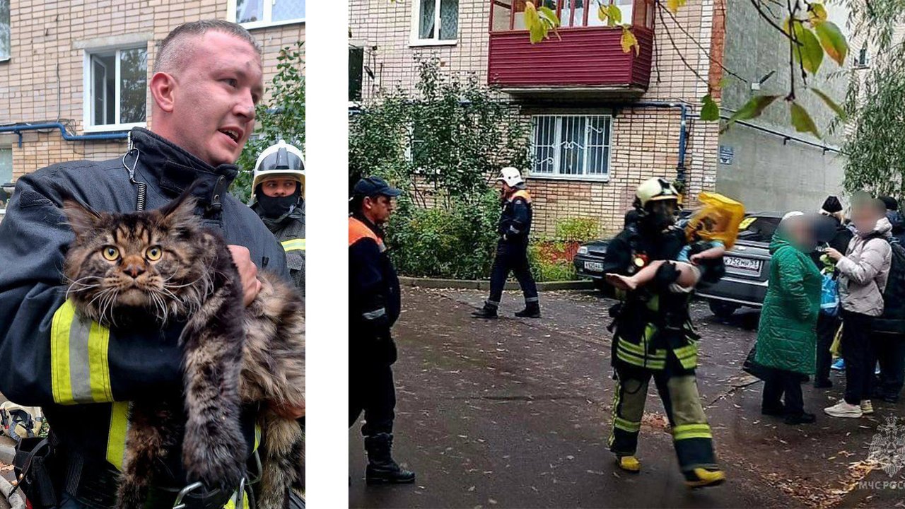 В Новгороде пожарные спасли мать, детей и питомцев