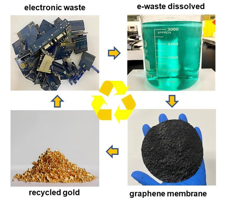 Этапы превращения отходов в золото. Фото: University of Manchester