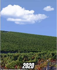 Windows XP Windows XP