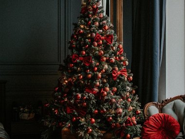 Как украсить елку в 2023 году: стильные идеи и 55 фотопримеров Как украсить елку в 2023 году: стильные идеи и 55 фотопримеров