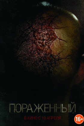 Пораженный: постер