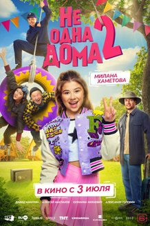 Постер фильма «Не одна дома 2»