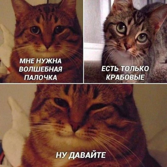 Берем! Берем!