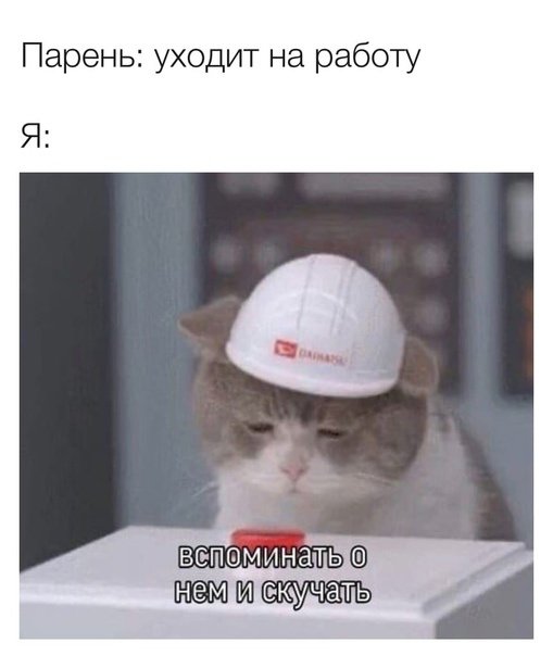 Коллаж-мем с японским котом, где кот сначала смотрит на кнопку и готовится ее нажать Надпись на картинке «Парень уходит на работу. Я: вспоминать о нем и скучать». Коллаж-мем с японским котом, где кот сначала смотрит на кнопку и готовится ее нажать Надпись на картинке «Парень уходит на работу. Я: вспоминать о нем и скучать».