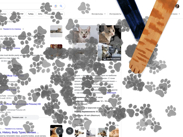 Секретная пасхалка от Google покорила владельцев домашних животных
