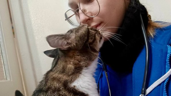 Сотрудники скорой помощи показали встречающих их котиков