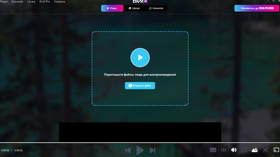 Скриншот видеоплеера DivX Player