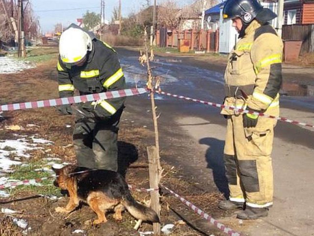 На Алтае пес несколько дней звал на помощь из ямы