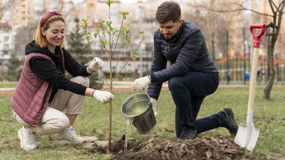 Семья сажает дерево согласно лунному календарю 
