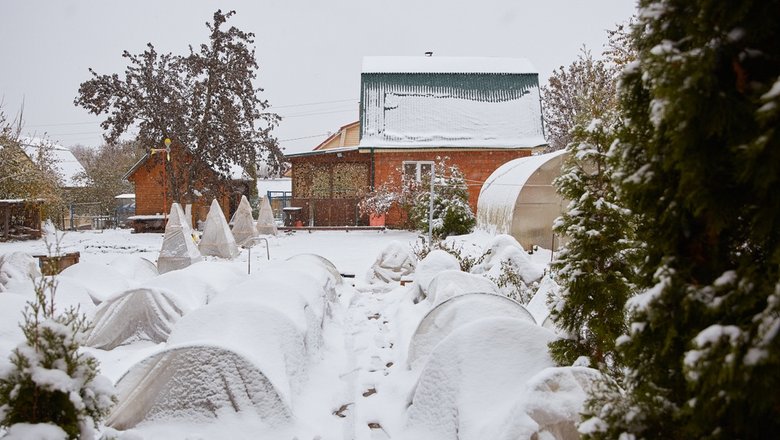 Огород в декабре.