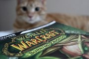 World of Warcraft and Cat