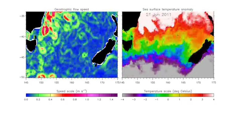 Движение морских течений и их температура в океане. (Ливерпульский университет)
