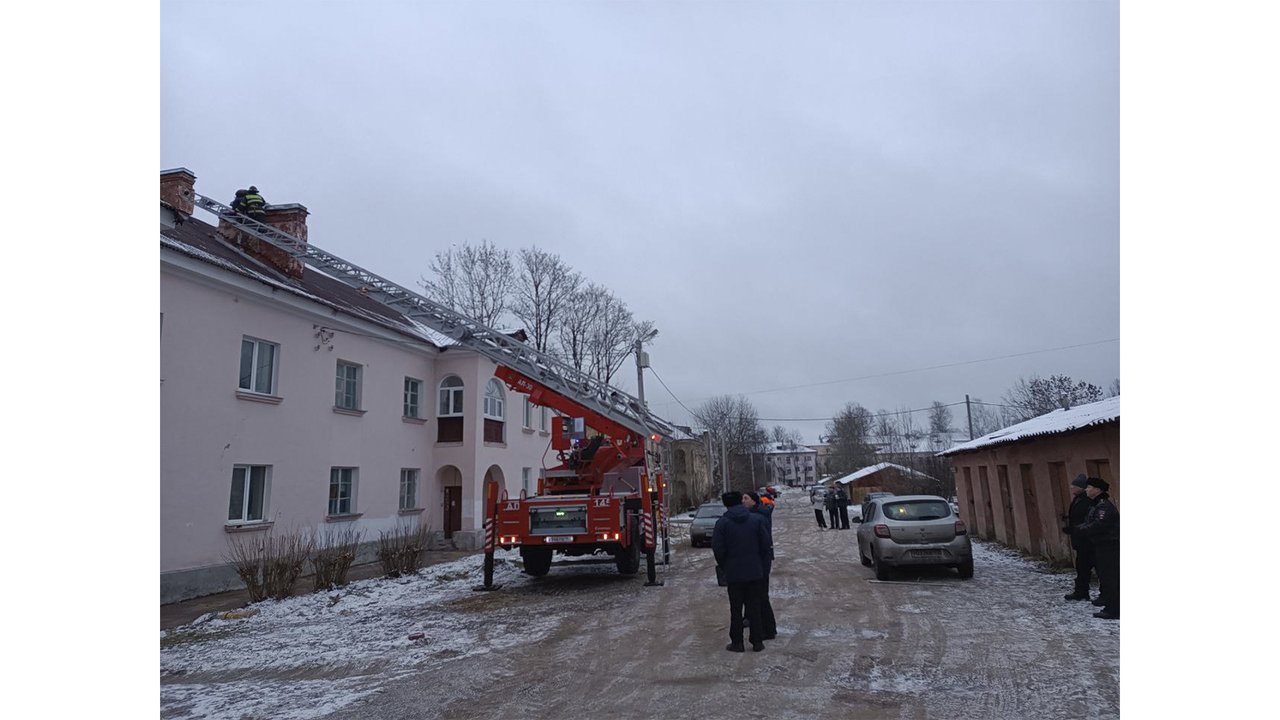 Под Питером 10 дней спасали кота с крыши дома