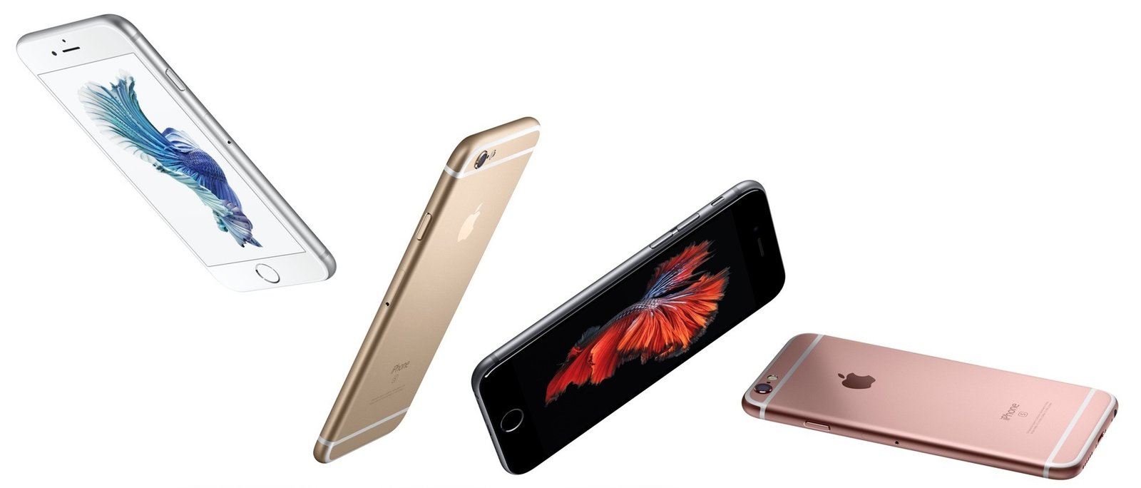 Китайцы хотели продать почки ради покупки iPhone 6s - Hi-Tech Mail.ru