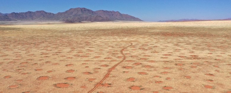 Еще одно фото с кругами в пустыне Намиб. Источник: Stephan Getzin / sciencealert.com