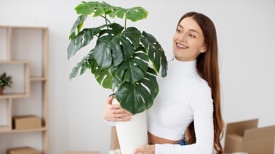 Женщина с комнатным растением в горшке.