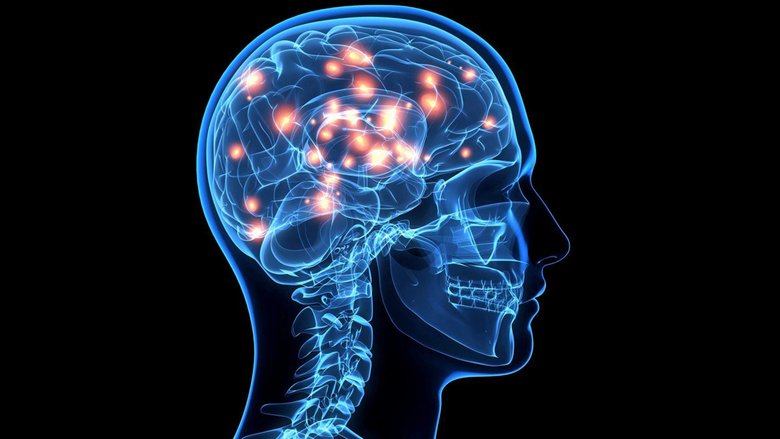 Нейропластичность мозга: что такое и от чего она зависит? - Евромед