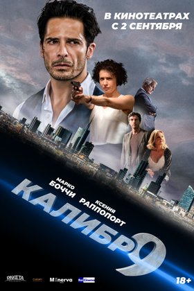 Девятый калибр: постер