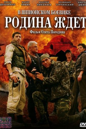 Родина ждет: постер