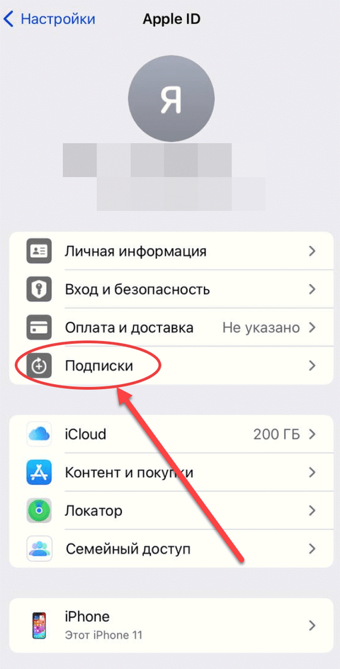 Скриншот настроек на айфон с разделом подписок Скриншот настроек на айфон с разделом подписок
